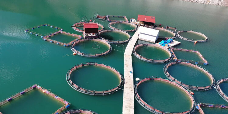 IPARD III Kırsal Kalkınma Programında 785 milyon euro hibe desteği kullandırılacak