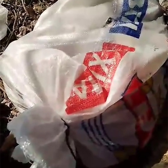 Edirne'de Keşan Sokak Hayvanlarını Koruma Derneği'nin (KE-HAYKO) Canevi Barınağı önüne bırakılan ağızları bağlı çuvallarda yavru köpekler bulundu.