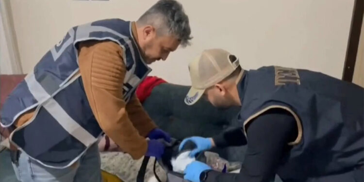 Bozdoğan-11 operasyonlarında 33 şüpheli yakalandı