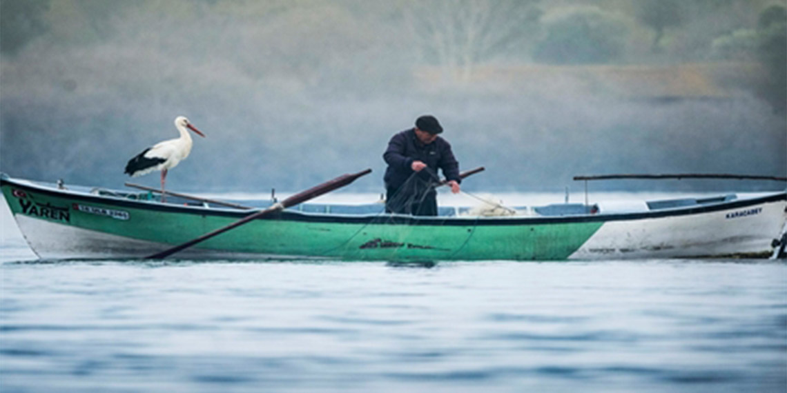 Yaren leylek eşi Nazlı ile buluştu