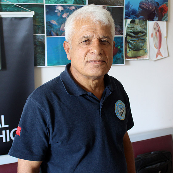 Balıkçıların etrafa attığı balon balıkları ölüm saçıyor