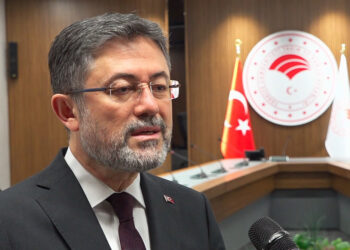 Balon balığı avcılığı desteğinde yüzde 400 artış