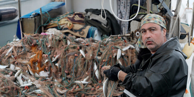 Balon balığı avcılığına yapılan destek sevindirdi