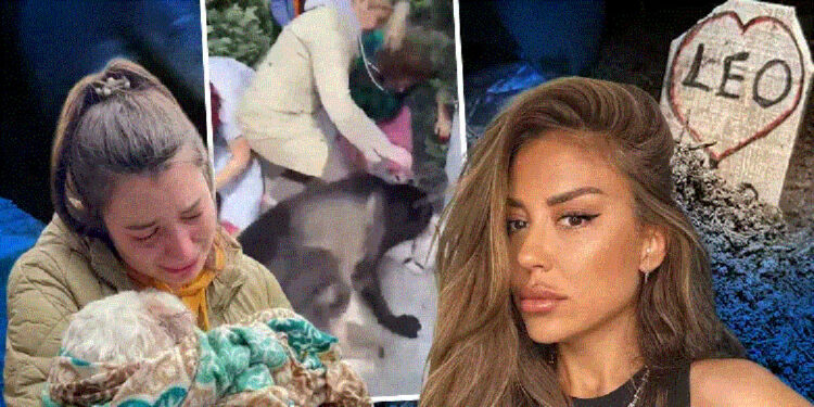 Banu Parlak'ın köpeğinin öldürdüğü 'Leo' toprağa verildi