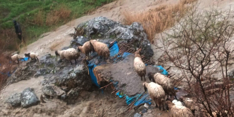 Beytüşşebap'ta sağanak nedeniyle okullar tatil edildi