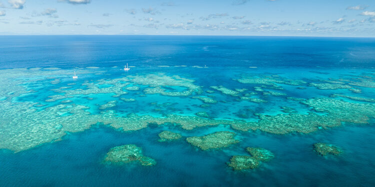 Büyük Set Resifi’nde beyazlama tespit edildi