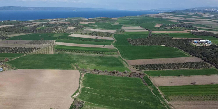 Halileli Batarya Şehitliği'nin yeri tespit edildi