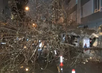 Çankaya'da şiddetli rüzgarda bir ağaç yola devrildi