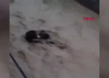 Cizre'de sele kapılan 2 kişinin korku dolu anları kamerada