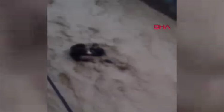 Cizre'de sele kapılan 2 kişinin korku dolu anları kamerada