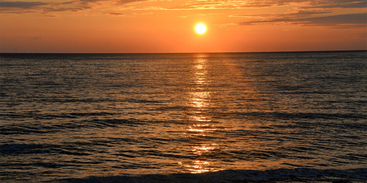 Marmara Denizi'nin deniz suyu sıcaklığı 1,9 derece yükseldi