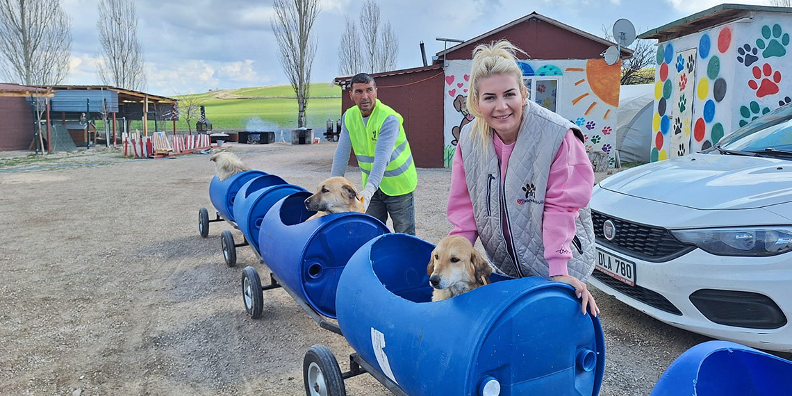 Engelli köpeklere trenli gezi