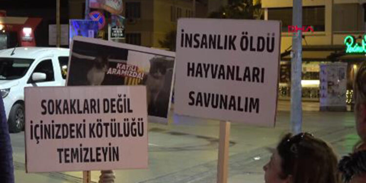 Eros için oturma eylemi 5'inci gününde