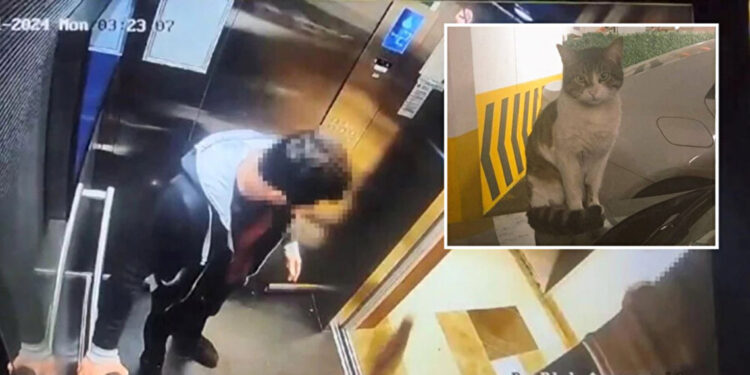 Eros'un katiline verilen cezaya savcılık itiraz edecek