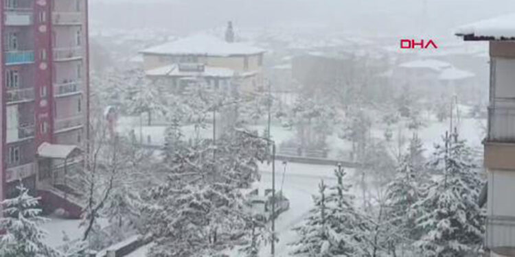 Erzurum'da 547 kırsal mahallenin yolu kardan kapandı