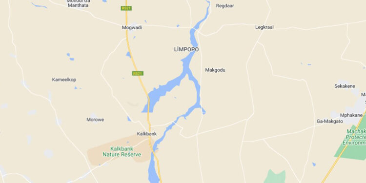 Güney Afrika'da 45 kişinin öldüğü kazadan 1 kişi sağ kurtuldu