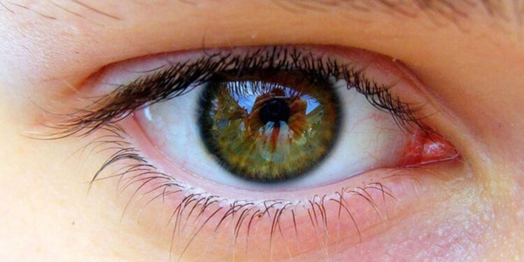 Glokom, sinsi hastalıklar listesinde ilk sıralarda