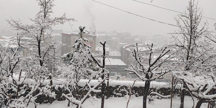 Hakkari'de kar yağışı