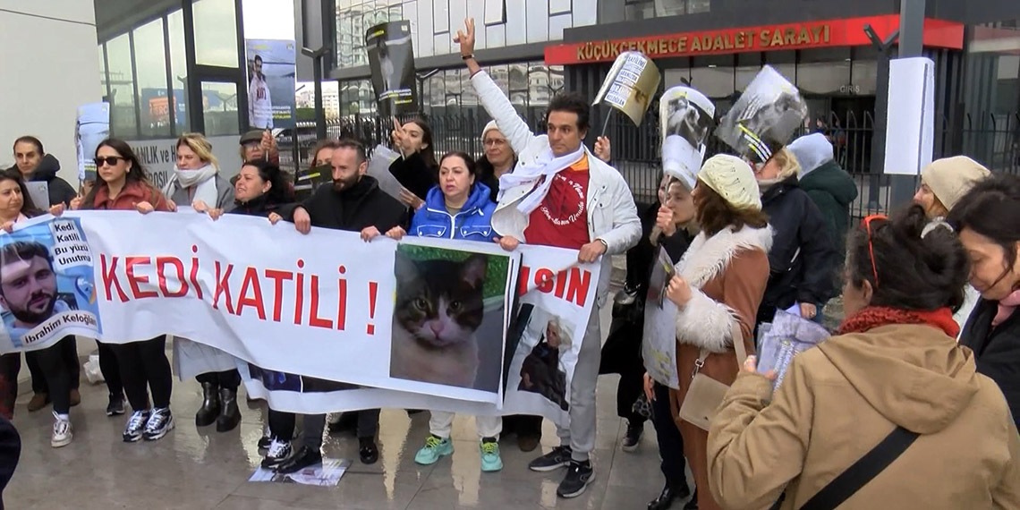 Hayvanseverlerden Eros'un katiline verilen cezaya tepki