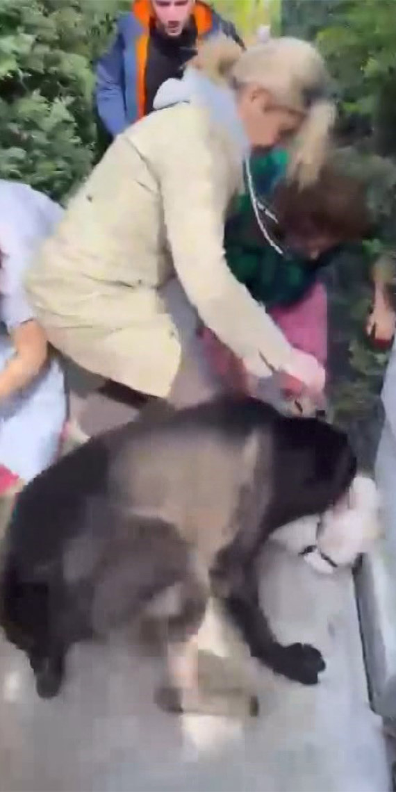 Sosyal medya fenomeni ve şarkıcı Banu Parlak'ın köpeği başka bir köpeğe saldırdı. Parlak'ın köpeğini tasmasız gezdirdiği belirtildi.