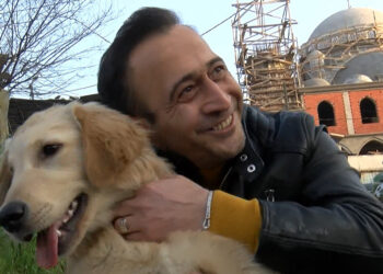 Sultangazi'de köpek yol kenarına bırakıldı