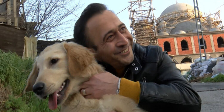 Sultangazi'de köpek yol kenarına bırakıldı