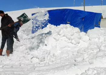 Kars'ta 'kar kaplanları'nın zorlu mücadelesi