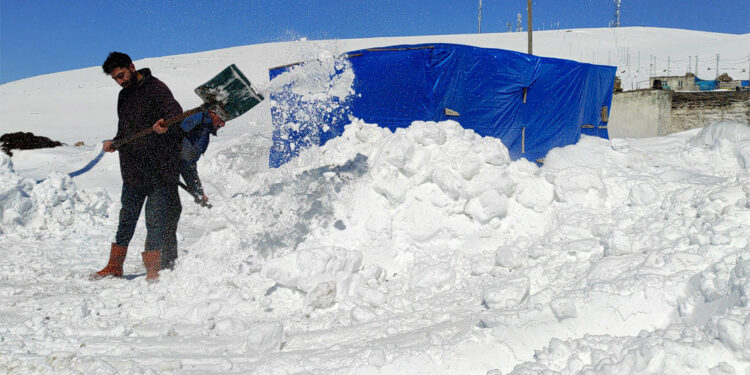 Kars'ta 'kar kaplanları'nın zorlu mücadelesi