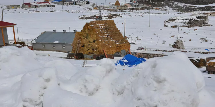 Kars'ta kar yağışı; yollar ulaşıma kapandı