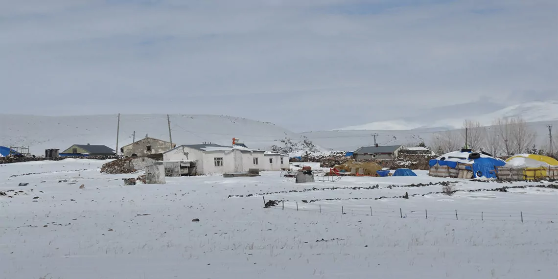 Kars'ta kar yağışı nedeniyle yüksek kesimlerdeki bazı köylerin yolları ulaşıma kapandı. Kentte etkili olan kar yağışı, hayatı olumsuz etkiledi.