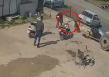 Kedisini öldüren köpeği hortumla dövdü
