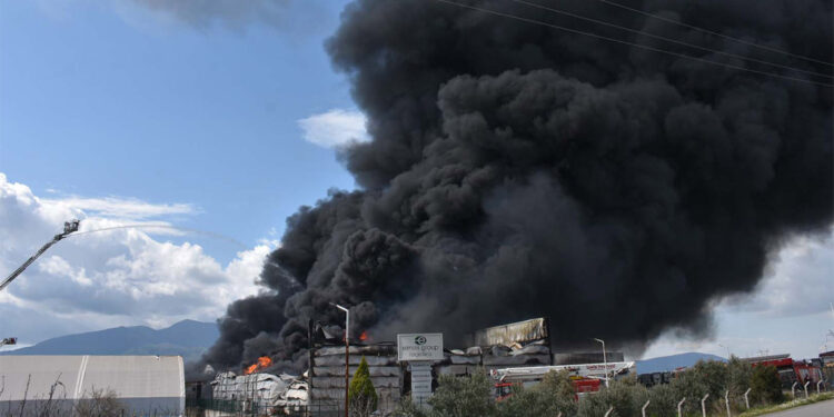 İzmir'de soğuk hava deposunda yangın