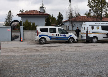 Niğde'de 2 köpek barınaktan çalındı