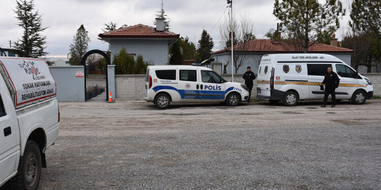 Niğde'de 2 köpek barınaktan çalındı