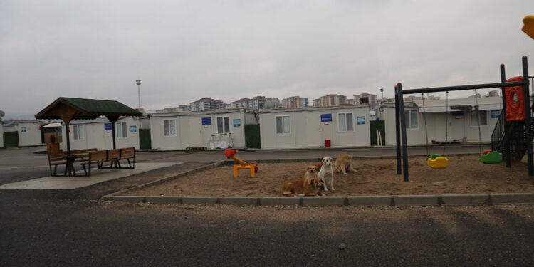 Konteyner kentte kız çocuğuna cinsel istismar iddiası