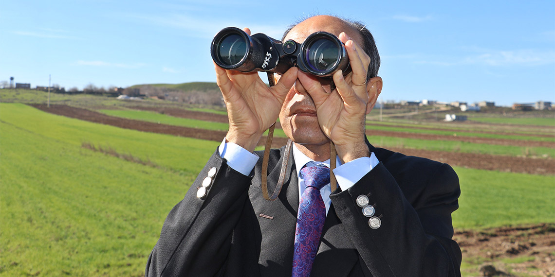Diyarbakır-Bismil kara yolu kenarındaki leylekler kışı Dicle Vadisi'nde geçirdi. Leylekler kurdukları yuvalar ile büyük bir koloni oluşturdu.