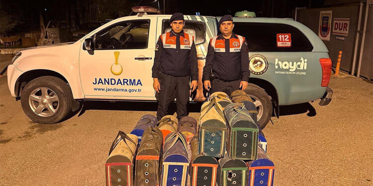 Manisa'da horoz dövüşüne suç üstü