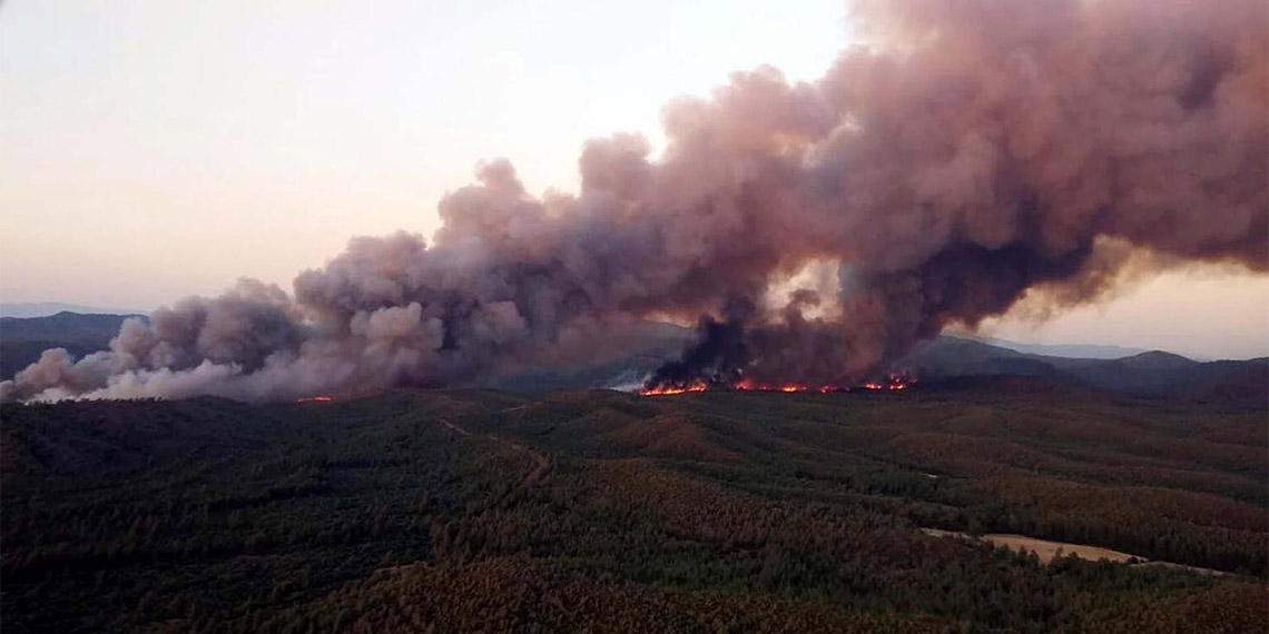 Marmaris'te ormanı yakan sanığın 19 yıl hapis ve 190 bin TL para cezası İzmir Bölge Adliye Mahkemesi 16'ncı Ceza Dairesi'nce onandı.