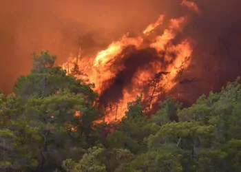 Marmaris'te ormanı yakan sanığın cezası onandı