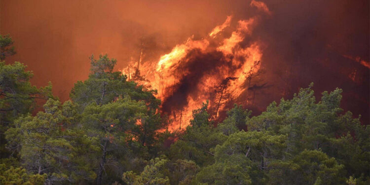Marmaris'te ormanı yakan sanığın cezası onandı