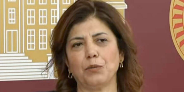 Meral Danış Beştaş oy kullanamayacak