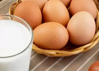 Ocakta tavuk eti ve süt üretimi arttı, yumurta üretimi azaldı