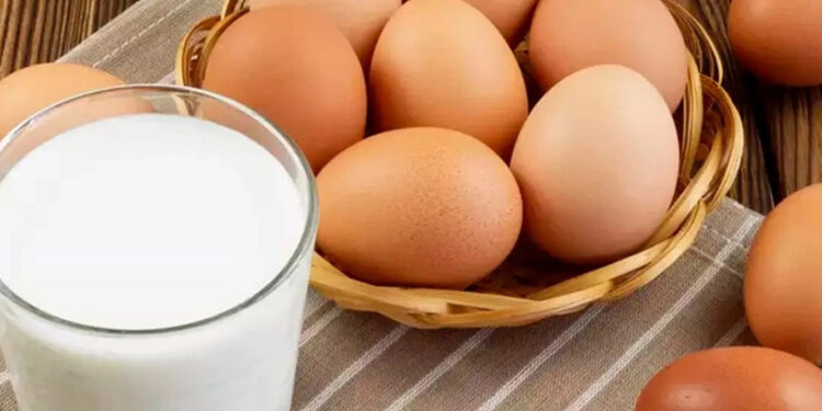 Ocakta tavuk eti ve süt üretimi arttı, yumurta üretimi azaldı