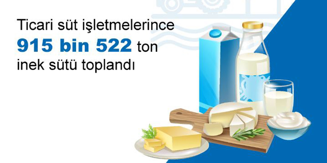 Ocakta tavuk eti ve süt üretimi arttı, yumurta üretimi azaldı