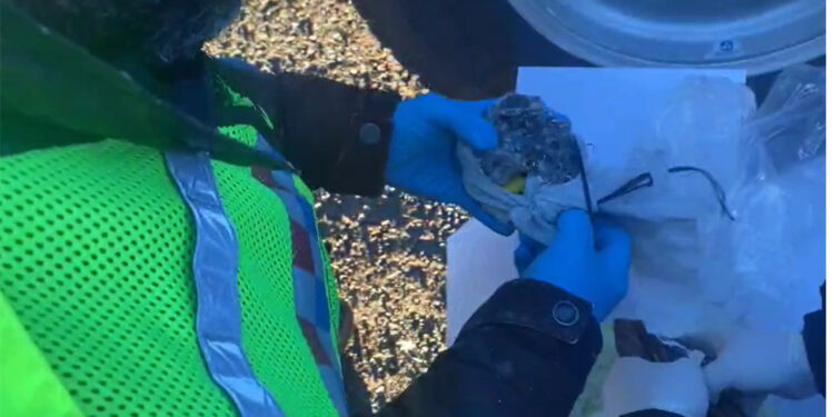 Peynir kolilerinde tarihi eserler ele geçirildi