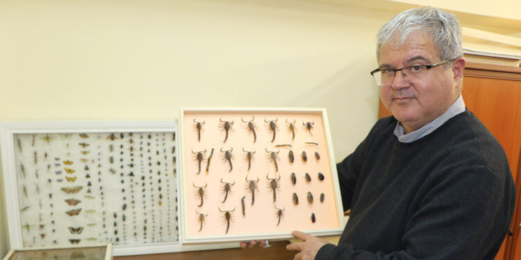 Vektörlere karşı ciddi önlemler almamız lazım