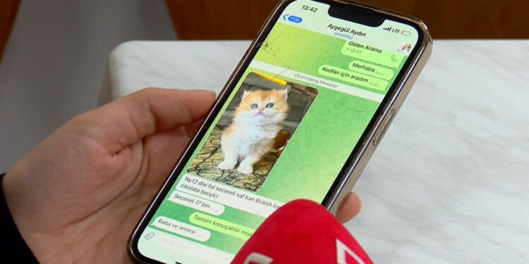 Pet shopta yasaklanan hayvan satışı sosyal medyada arttı