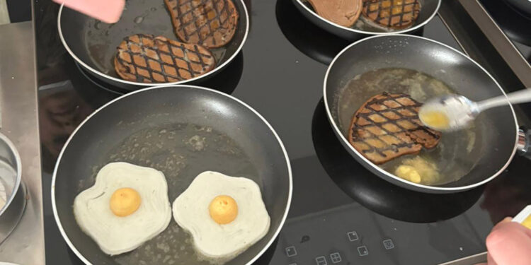 Protein tüketemeyen hastalar için bitkisel kaynaklı yumurta ve et