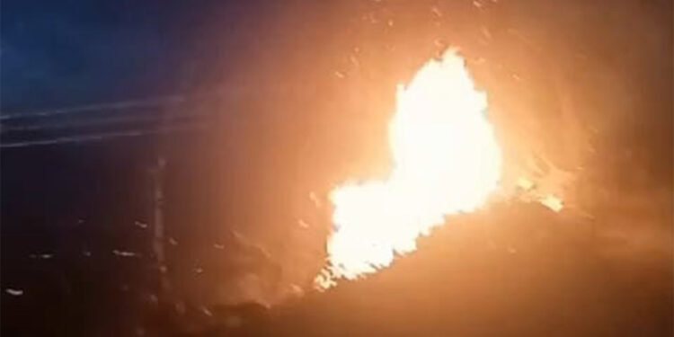 Rize'de çıkan orman yangını söndürüldü