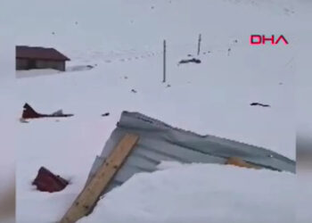 Rize'de çığ düşen 2 ev hasar gördü